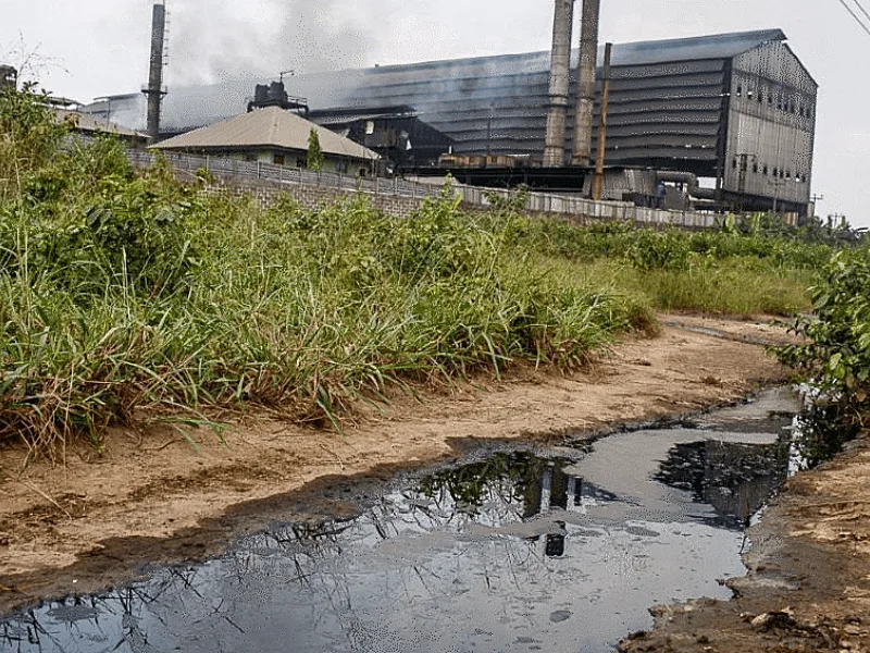 Nigeria’s Lead Poisoning Crisis Is Now a Test of Public Health, Industrial Reform and State Capacity