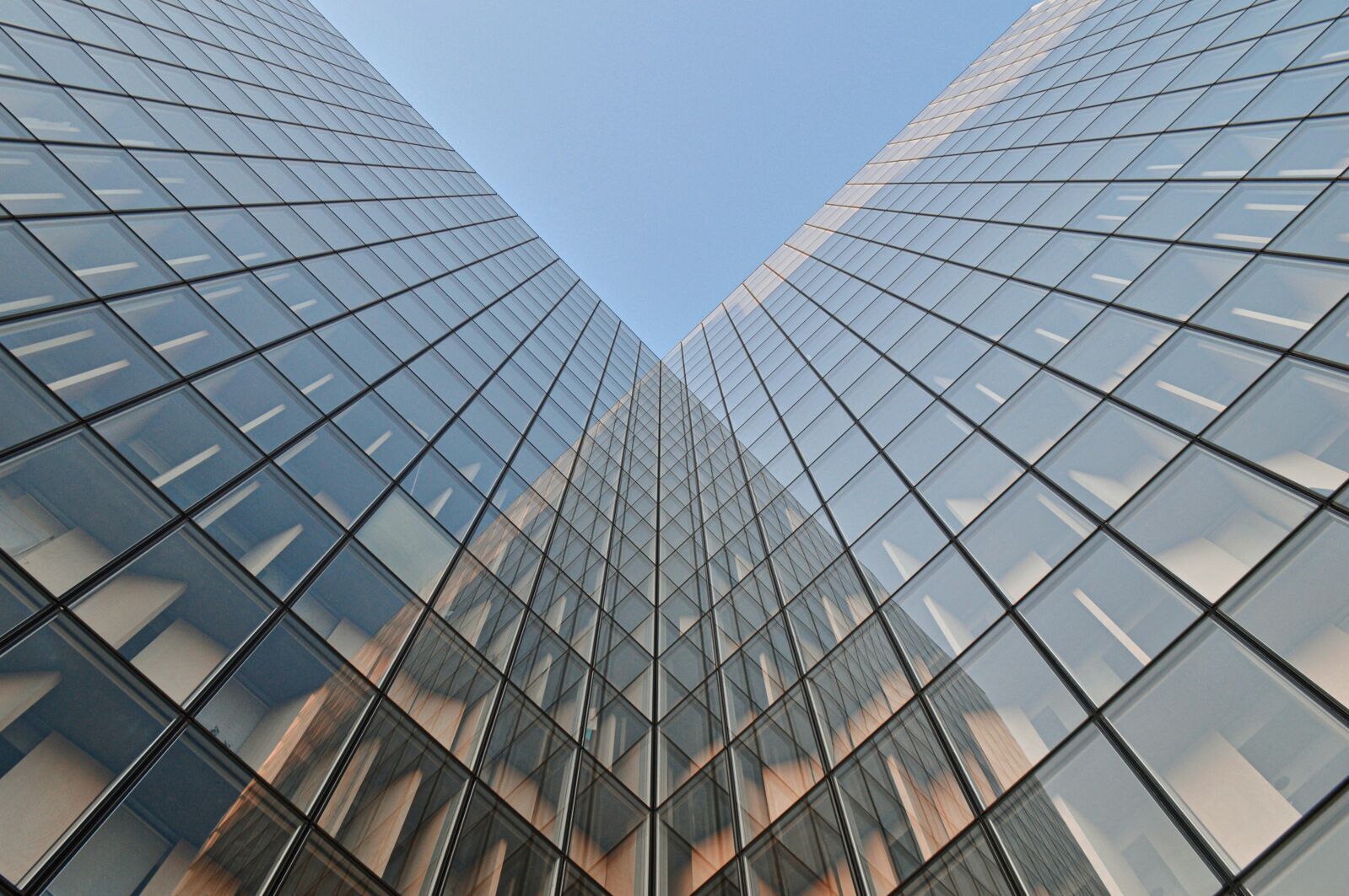 Evidence Shows ESG Enhances Governance And Boosts Firm Value In Africa