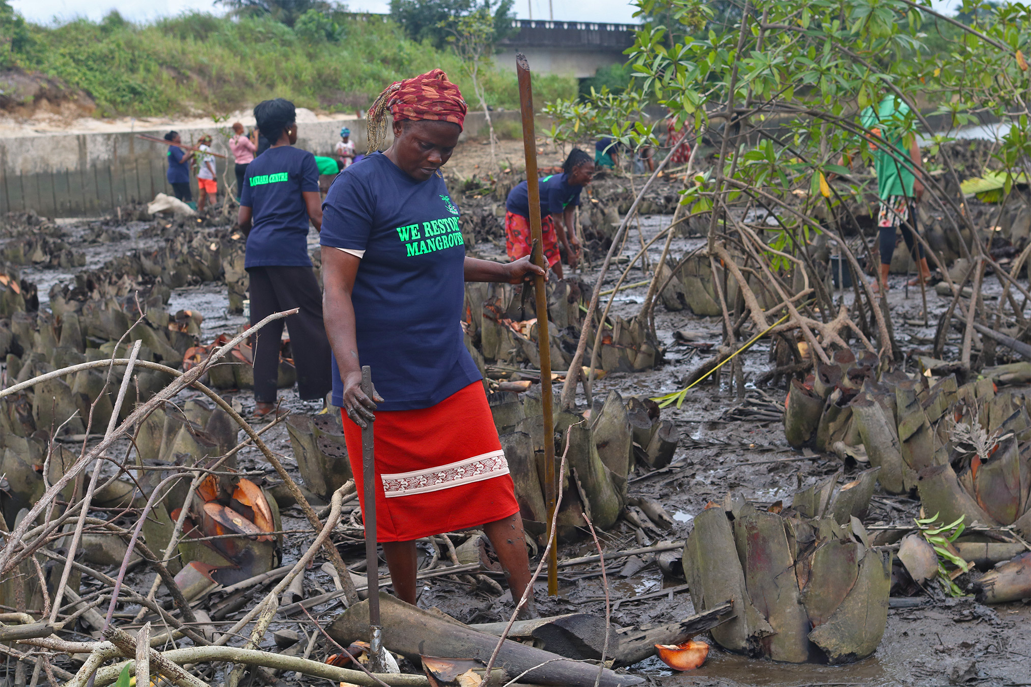 In Nigeria's Oil-Ravaged Niger Delta, Women Push Back Against Systemic Exclusion