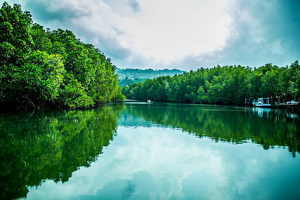 Nigeria's Sustainable Bond Framework Turns Borrowing Into Climate, Social And Economic Action