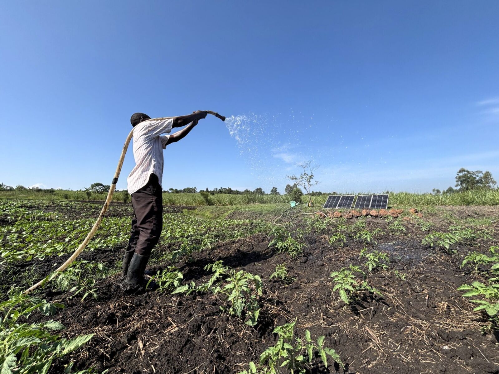 AfDB's $140 Million Backs Uganda's Irrigation Push For Farms, Jobs, and Rural Incomes