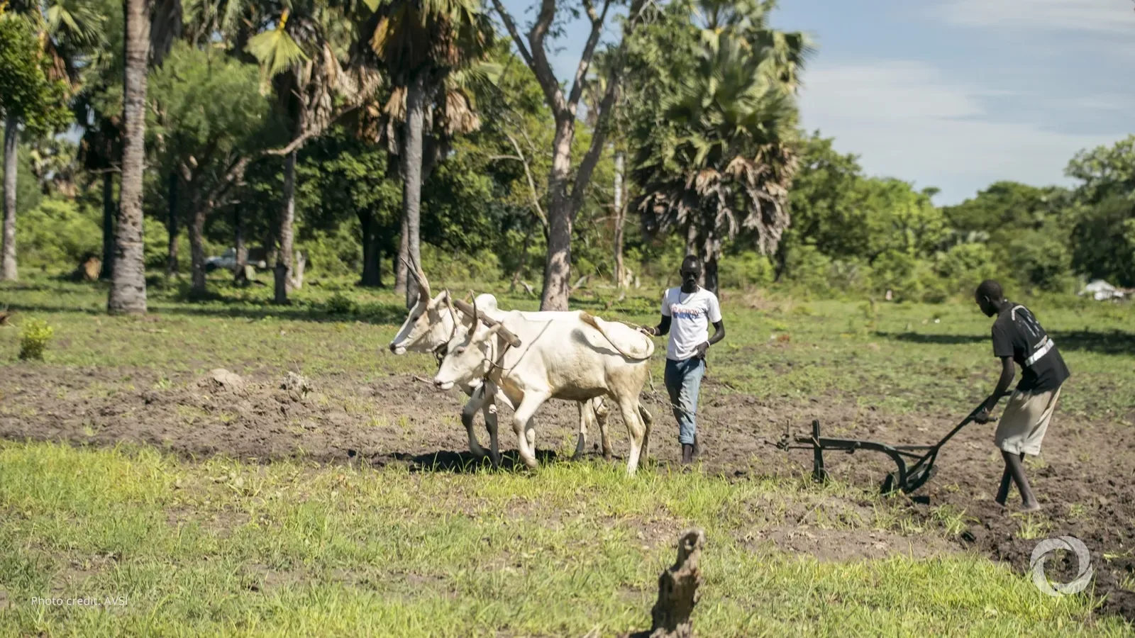 AfDB’s $87 Million Sudan Grant Targets Food Security as Conflict Deepens Hunger
