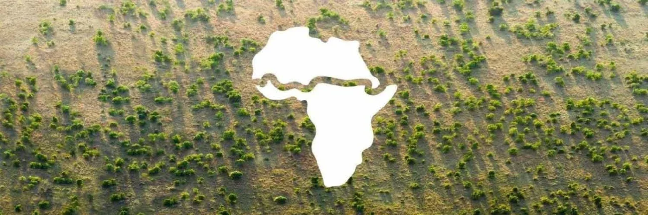 AfDB’s Great Green Wall Portfolio Links Restoration Finance With Resilient African Livelihoods