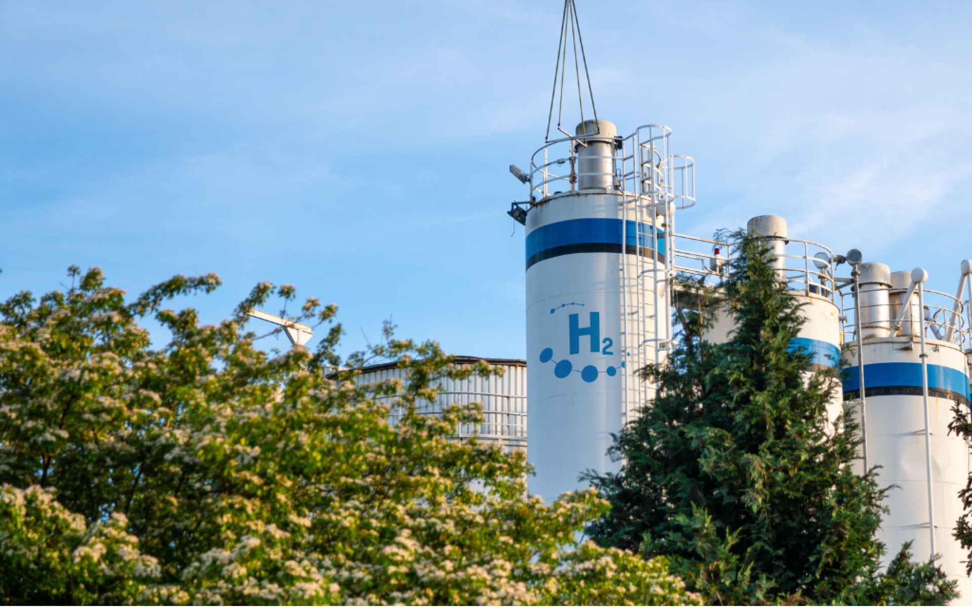 AfDB Opens Green Hydrogen Window for Africa’s Next Clean Industrial Projects Today