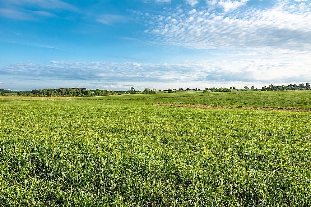 AfDB Urges Africa to Turn Land Restoration Promises Into Bankable Community Action
