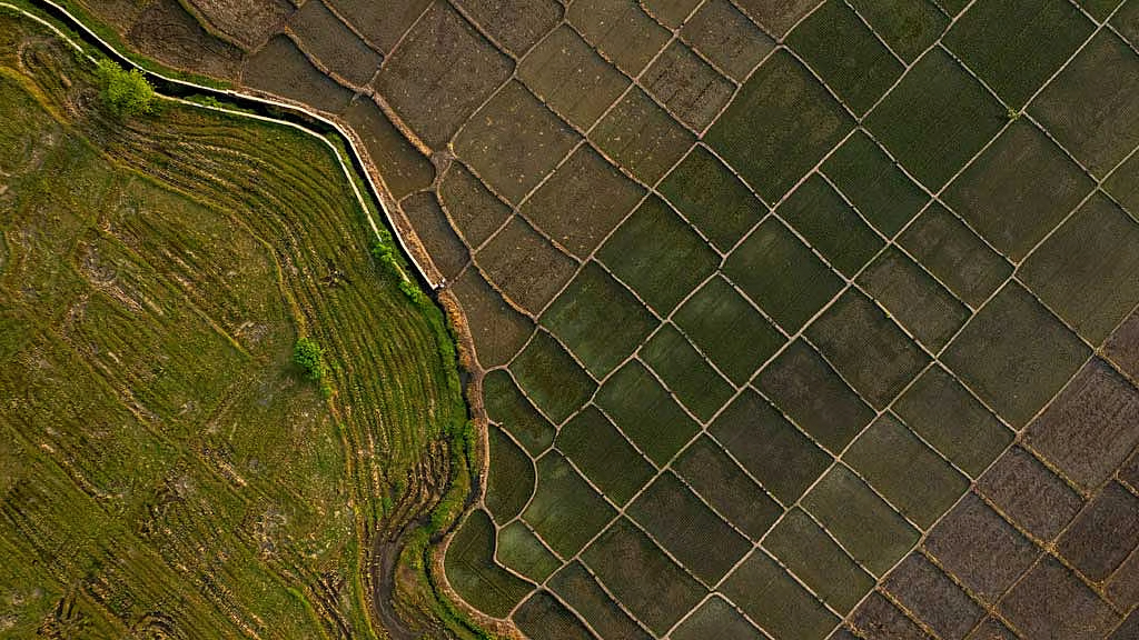 AfDB Warns “Super” El Niño Could Cost Africa Up to $20 Billion