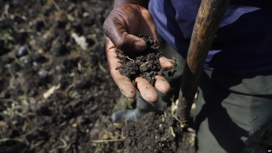 Africa’s Fertiliser Shortage Threatens Harvests As Governments Face Urgent Action Now