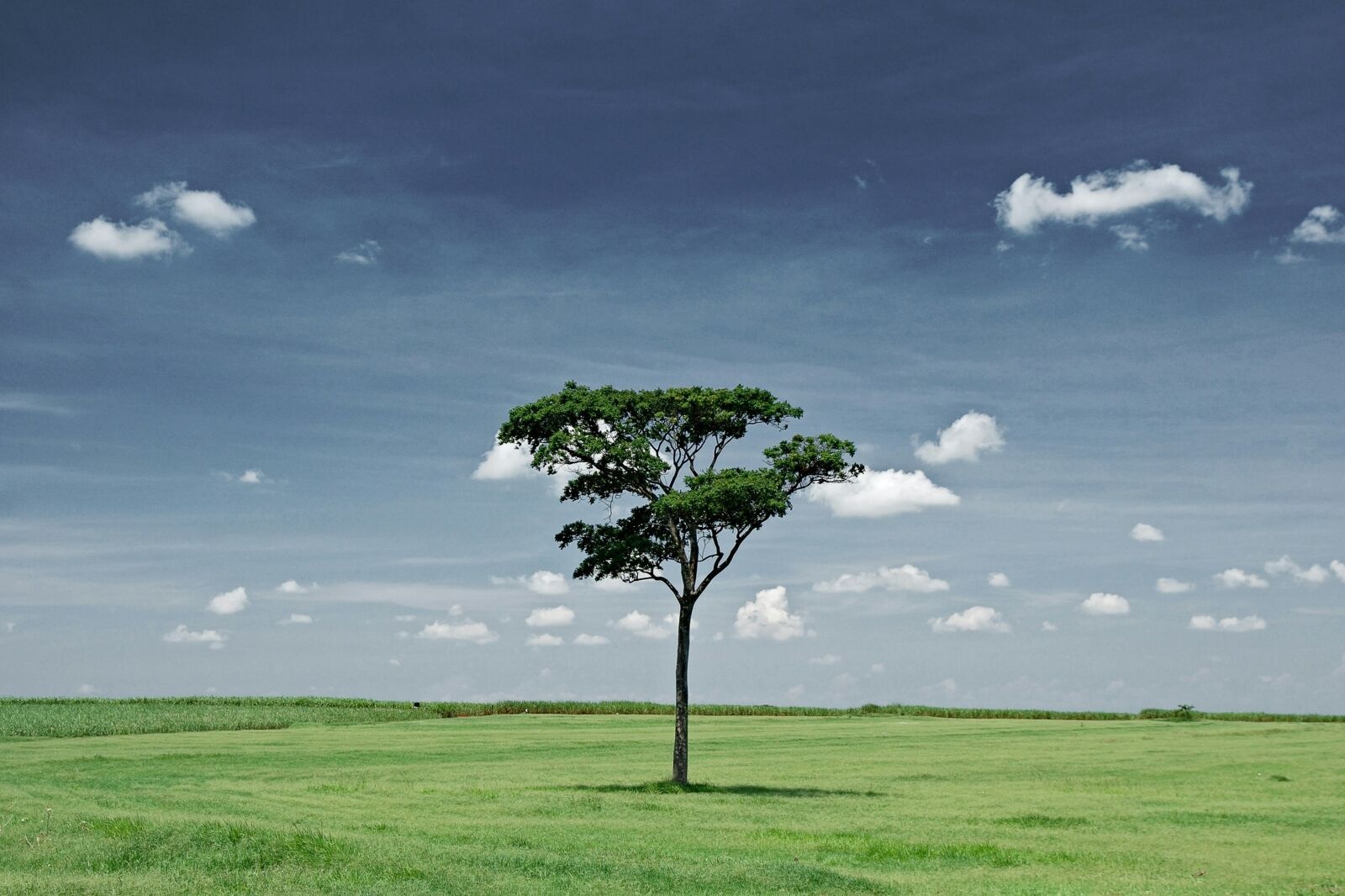 Africa’s Green Wealth Must Count In New GDP and Climate Finance Rules