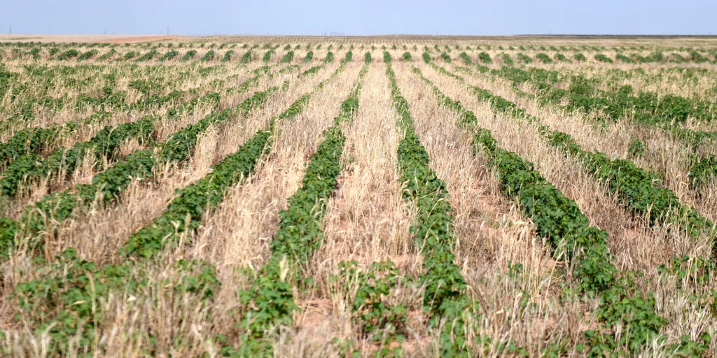Agriculture Faces Rising Heat While Climate Finance Still Bypasses Farmers