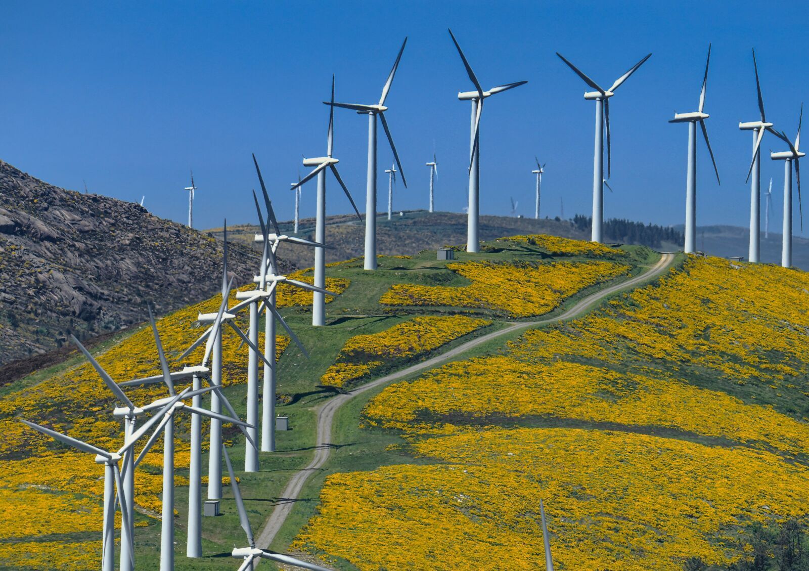 Amazon Australia Adds 430MW Renewable Capacity As AI Power Demand Accelerates Nationwide