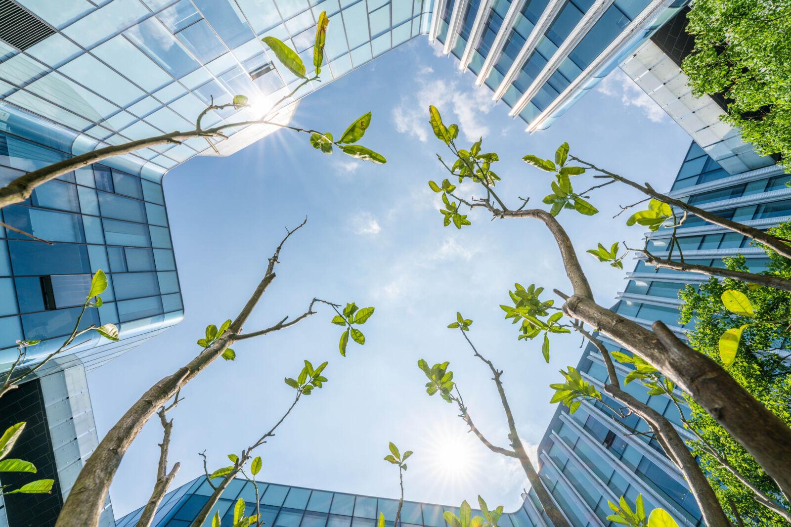Banks Must Rethink Credit Risk As Physical Climate Damage Accelerates Worldwide
