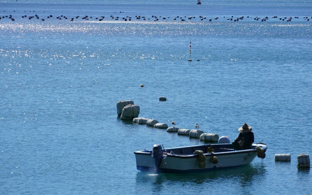 Blue Economy Finance Must Protect Oceans While Creating Resilient Coastal Jobs