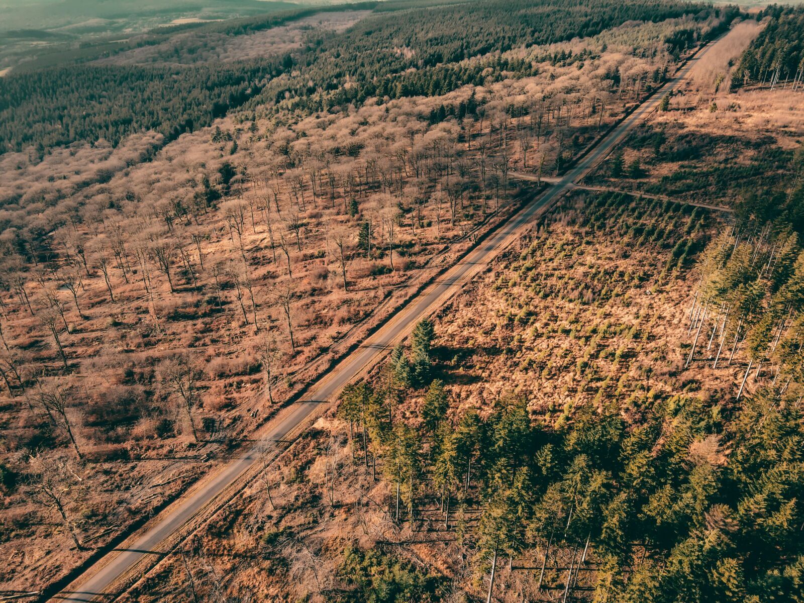 Businesses Must Map Nature Risk Before It Becomes Financial Damage
