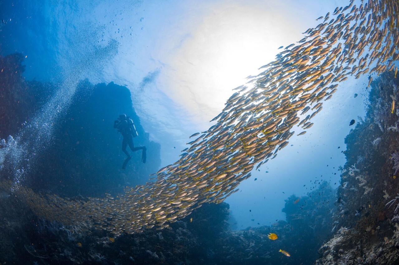 CDP Ocean Disclosure Push Brings Marine Risk Into Corporate Reporting