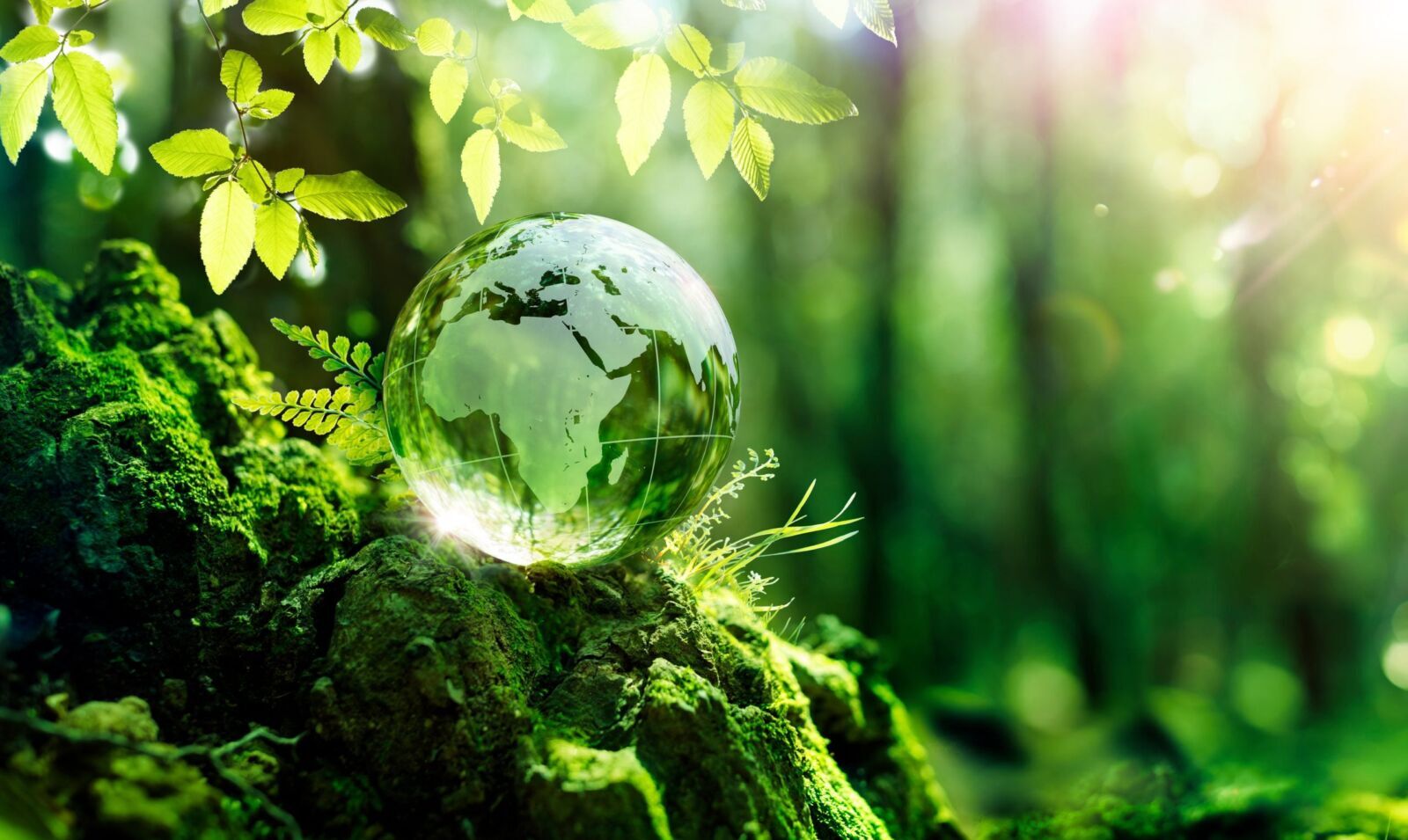 Carbon Cost Is Now Reshaping Trade, Pricing and Competitiveness Across African Export Markets