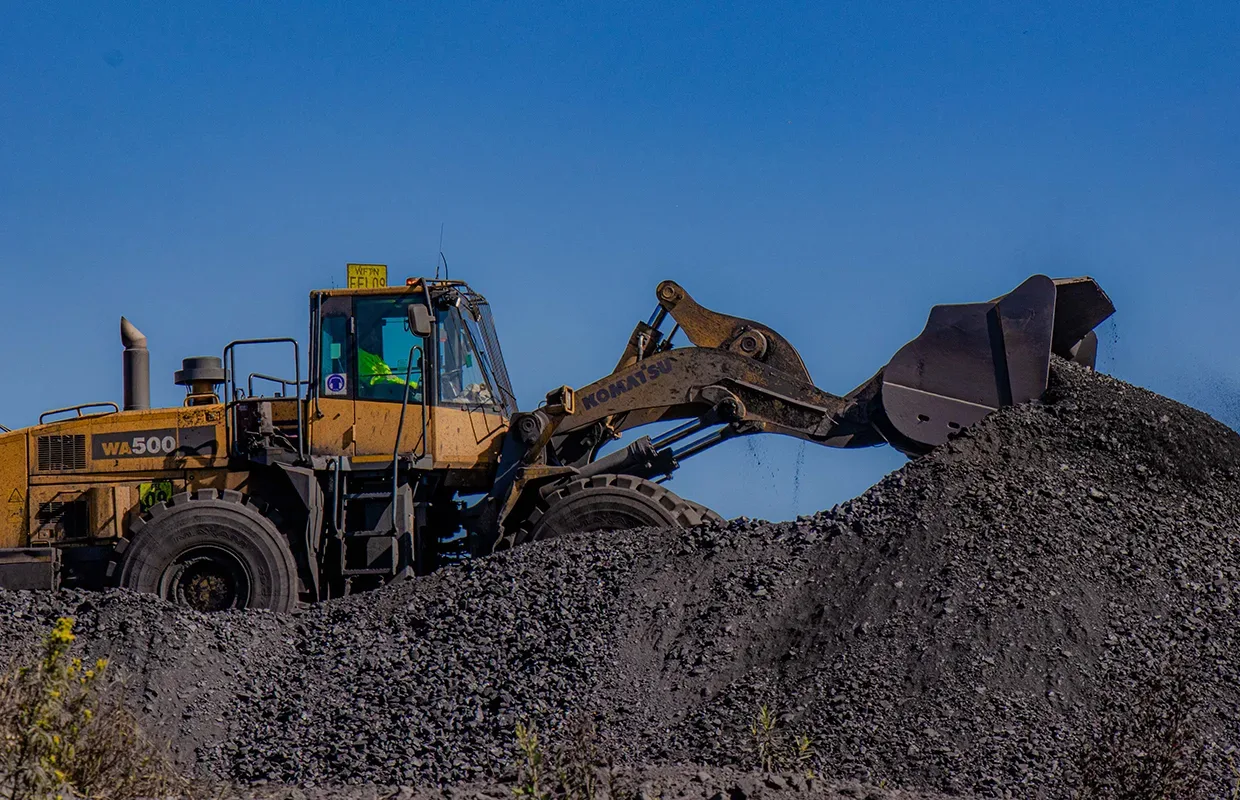 Carbon Removal Projects Seek Finance Through Resilience Benefits And Multiple Revenue Streams