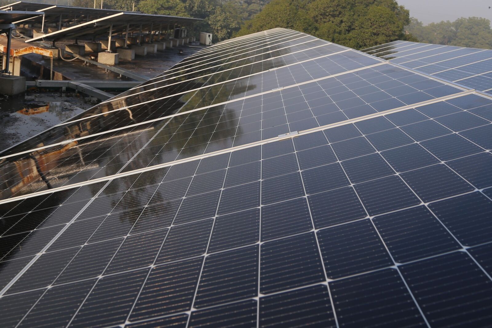 Citi's $647 Billion Sustainable Finance Drive Puts Resilience Centre Stage for Investors