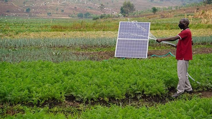 Clean energy could transform African farms, food systems and rural livelihoods sustainably