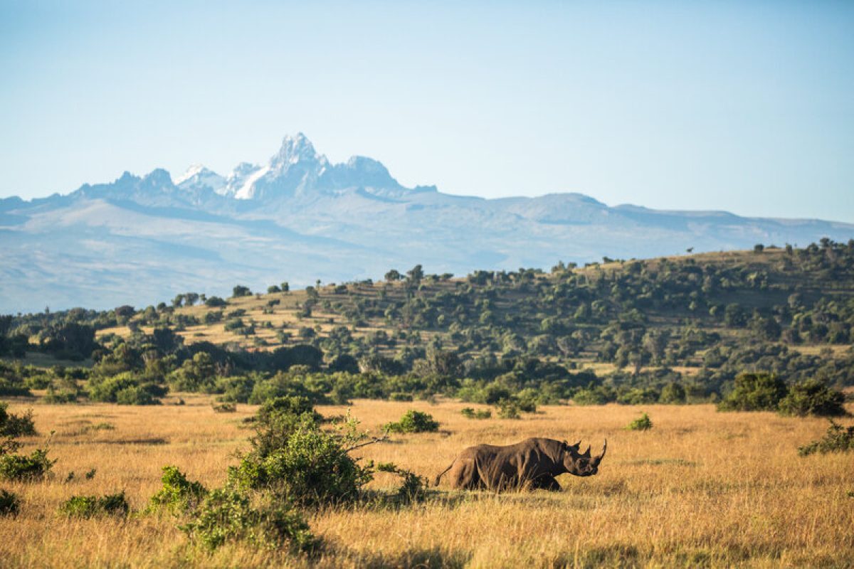 Climate Change Shifts Childhood Malaria Risk Toward Africa’s Cooler Highlands and South