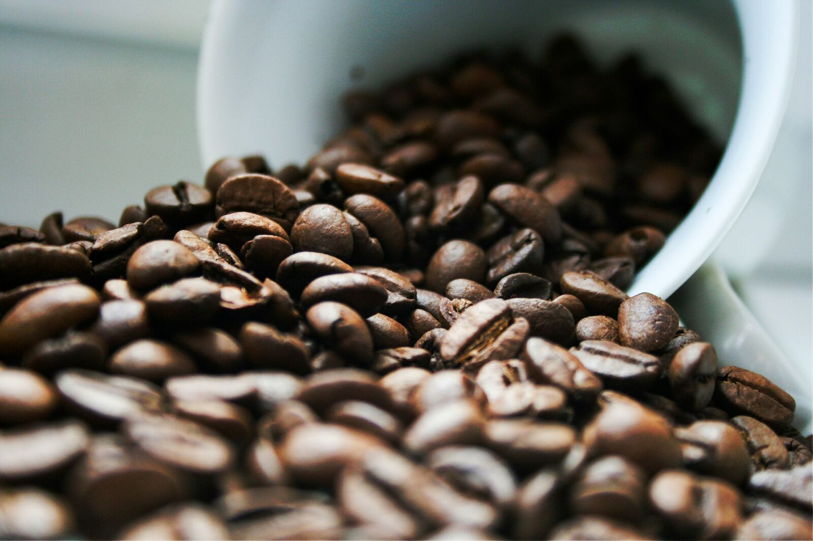 Coffee Prices Stay High as Climate Volatility Reshapes Global Supply Chains