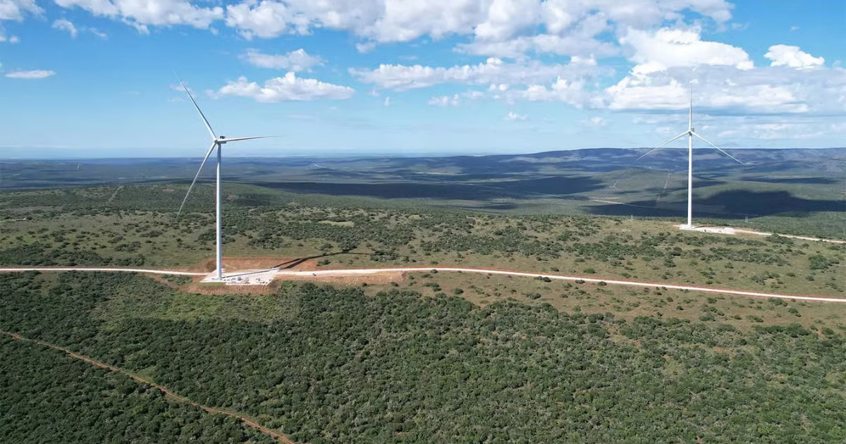 Corporate Buyers Overtake State Auctions in South Africa's Renewable Buildout
