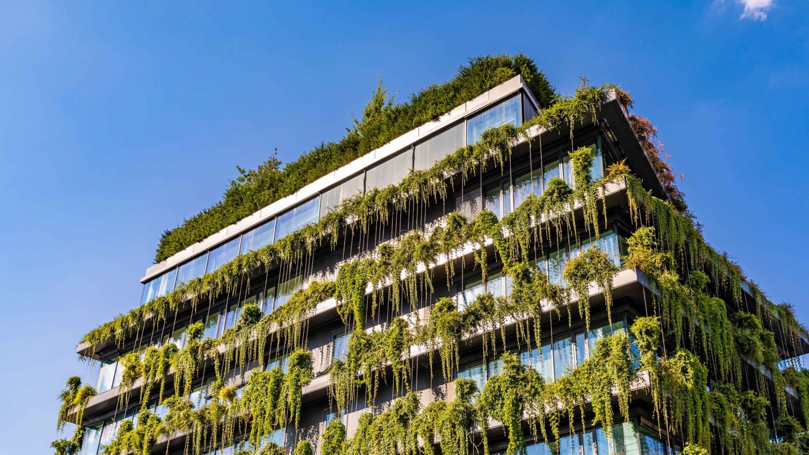 A Billion-Krone Investment in Greener Buildings Could Reshape Europe’s Construction Future