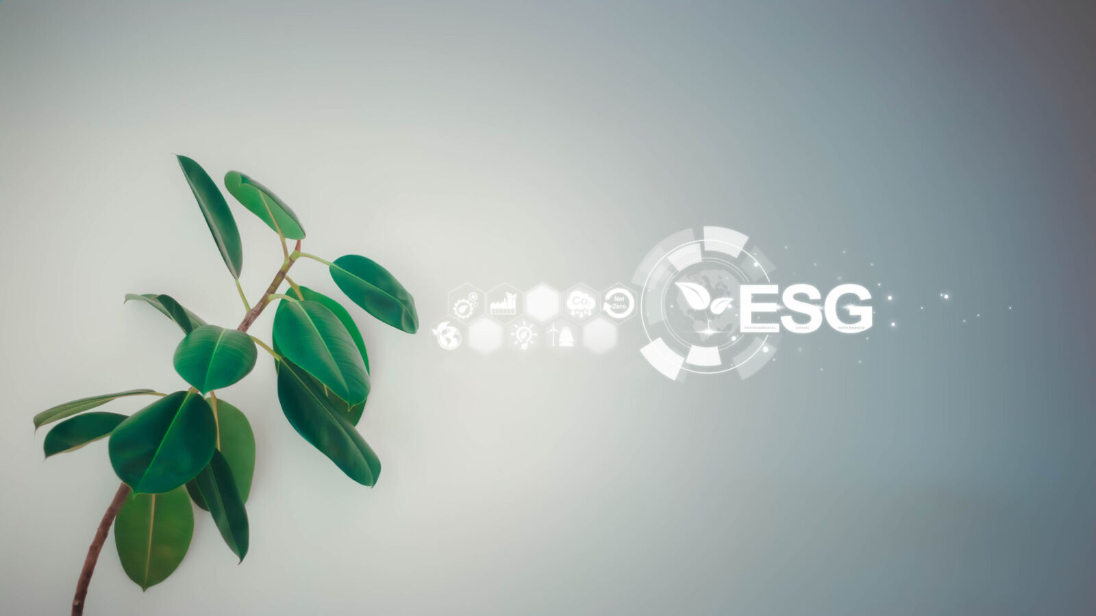 ESG Rebrands As Resilience Investing As Markets Reprice Climate And Governance Risk
