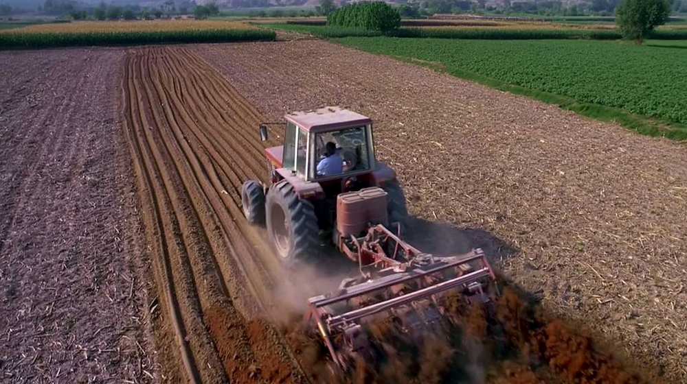 Egypt's $15 Billion New Delta Project Expands Desert Farming for Food Security