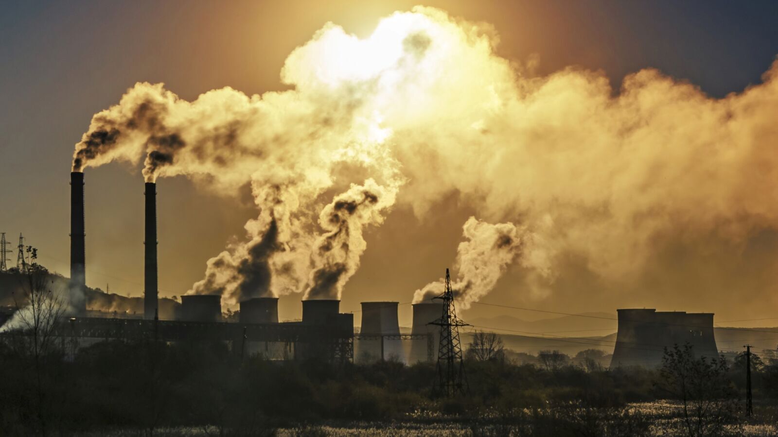 Eight Greenhouse Gas Terms Every African Business Must Understand for Climate Strategy