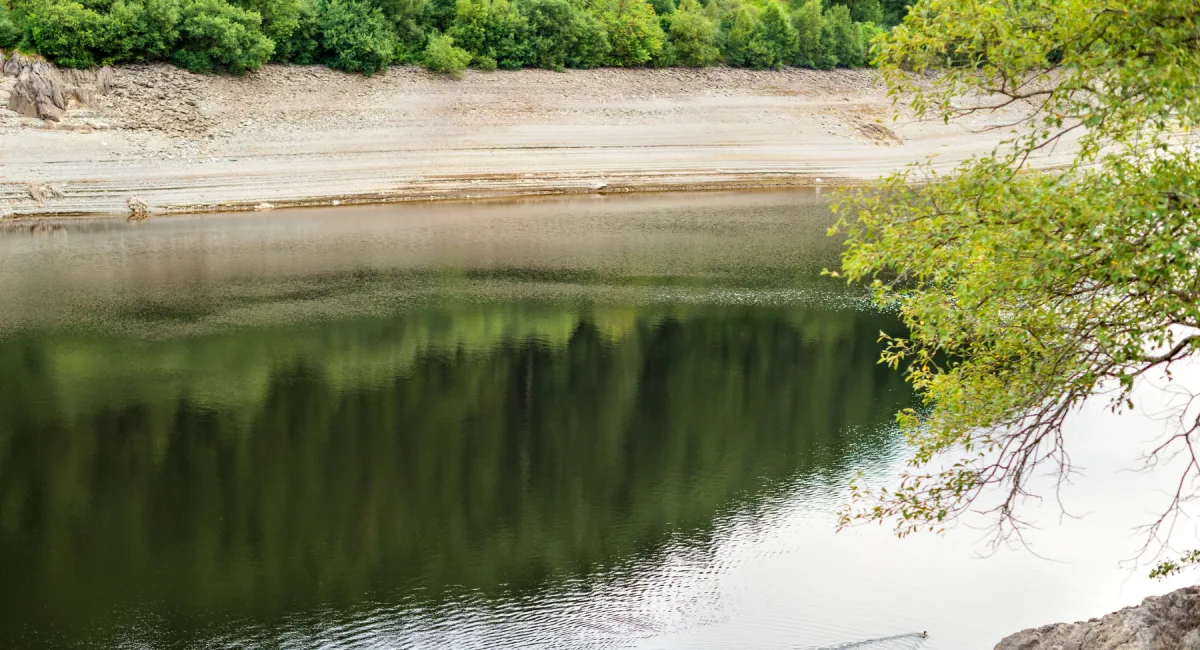 Environmental Science Takes Seven Years on Average to Reach Global Policy
