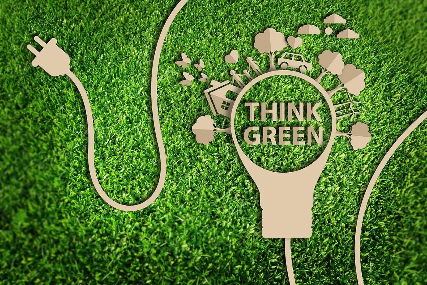 Environmental Sustainability Emerging as Catalyst for Nigeria’s Green Entrepreneurship and Climate Innovation