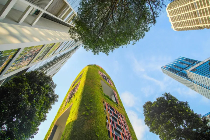 Europe’s two ESG rules split reporting duties from supply-chain accountability pressures