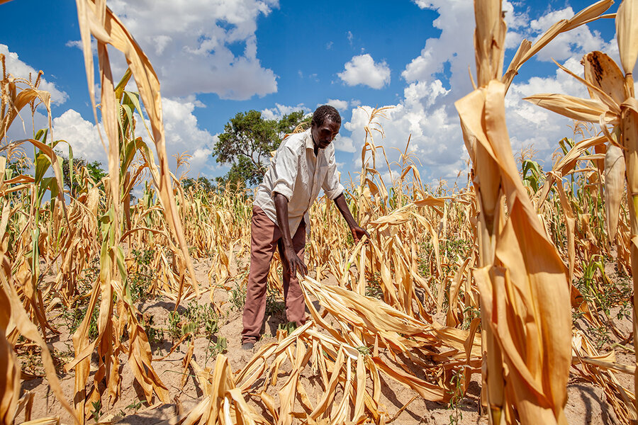 Extreme Heat Is Turning Agriculture Into Africa’s Next Food Security Stress Test