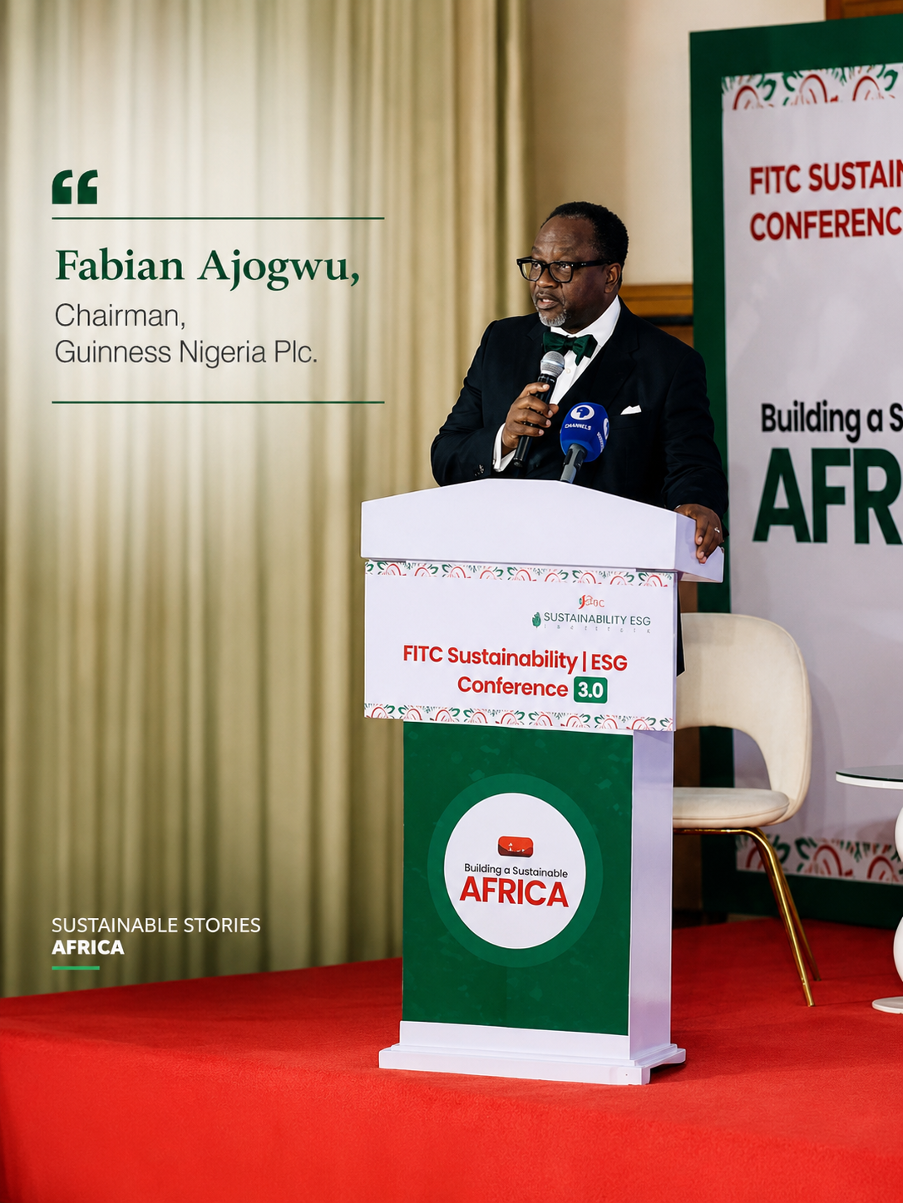 Fabian Ajogwu: Africa Must Become ESG Rule Maker, Not Rule Taker
