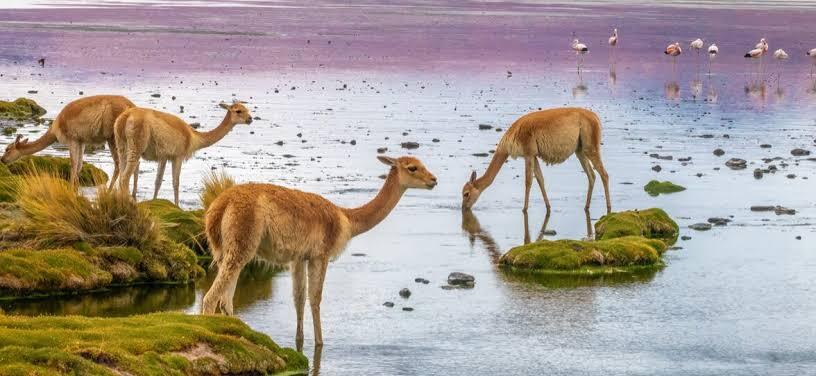 Finance Sector Confronts Nature Risk Blind Spot as Supervisors Raise Pressure