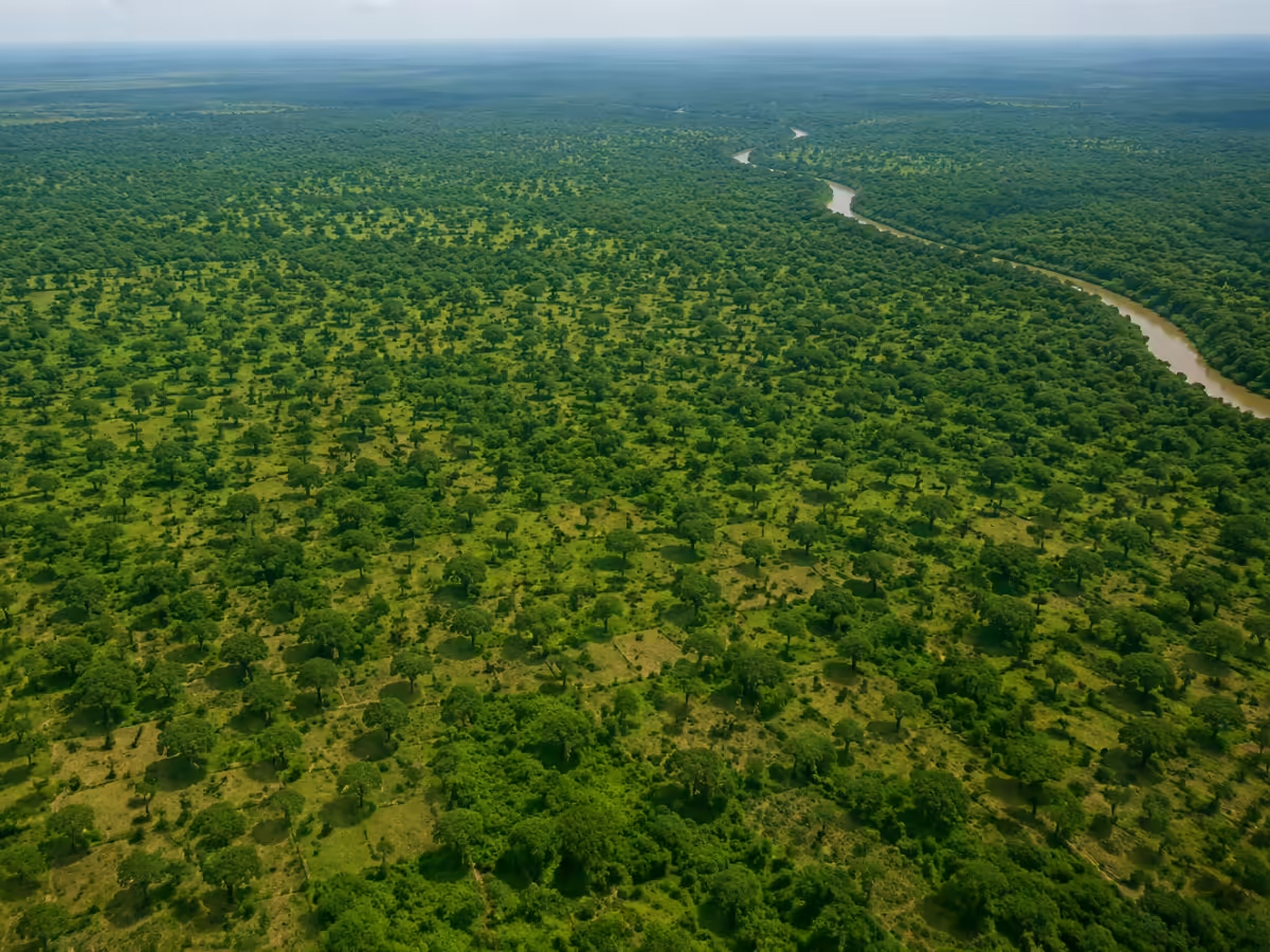 GEF approves $8.4 million to restore Eritrea’s landscapes and strengthen climate resilience