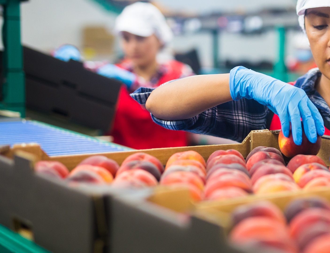 GRI Begins Food And Beverage Standard Development To Strengthen Corporate Impact Reporting