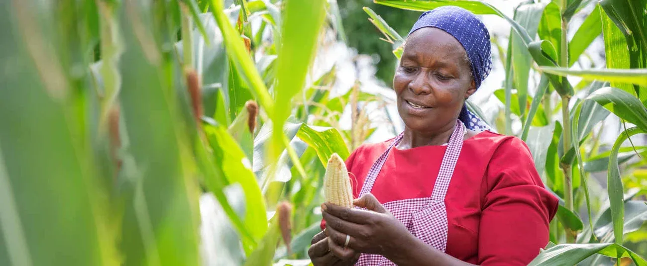 GRI Food Sector Pilot Opens Opportunity for African Voices in Sustainability Reporting