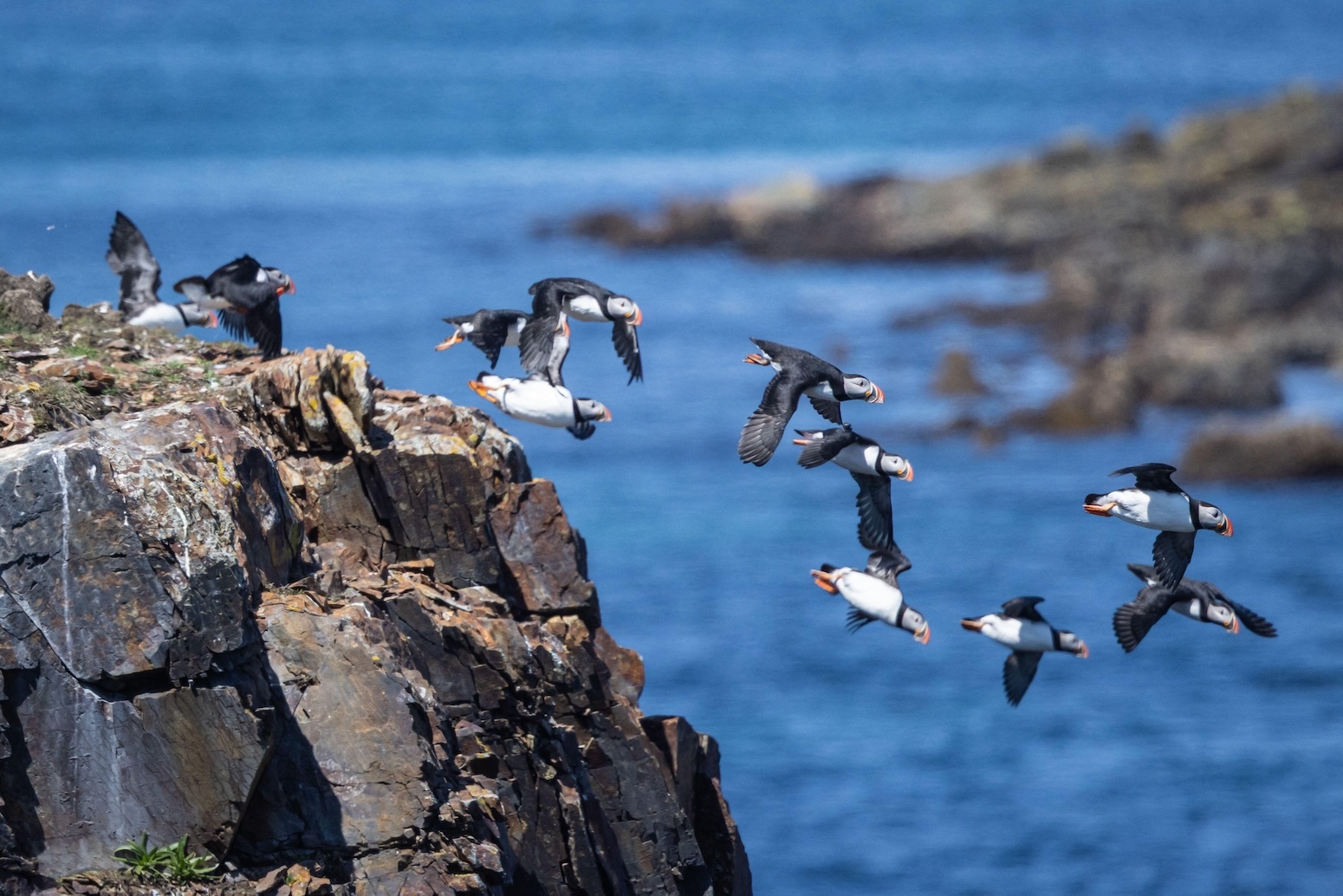 Global Biodiversity Pact Turns Nature Loss Into a 2030 Delivery Test