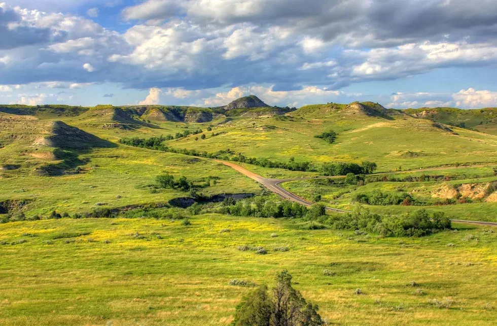 Grassland Diversity Protects Carbon Uptake as Climate Pressures Threaten Pastures and Livelihoods