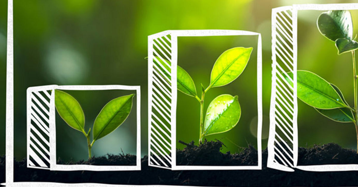 Green CFOs Turn ESG Checklists Into Capital, Cost, and Climate Gains