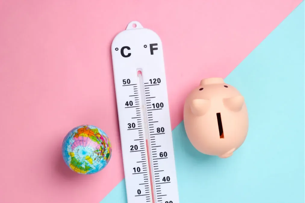 World Bank Climate Disclosures Reveal How Risk And Capital Now Shape Global Climate Action