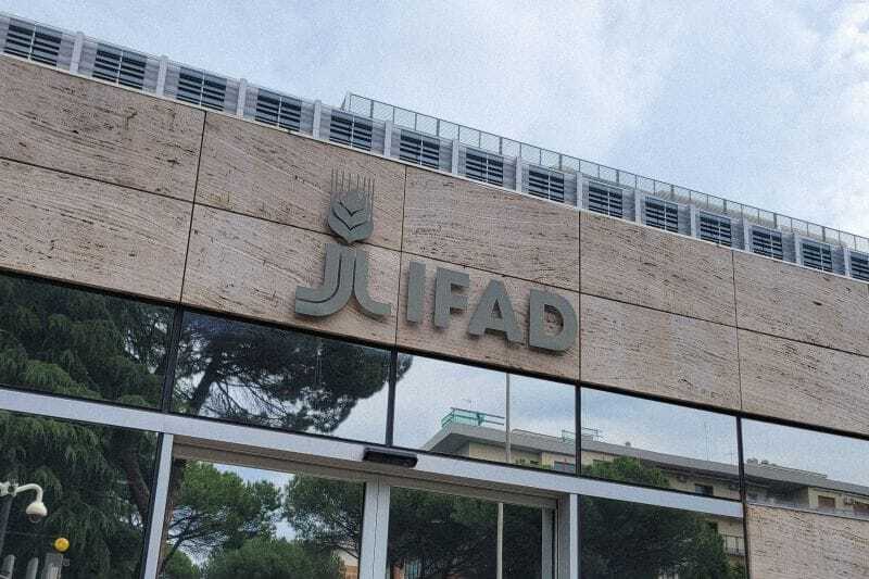 Nordic investors back IFAD’s $70 A million bond, boosting agriculture-led climate finance