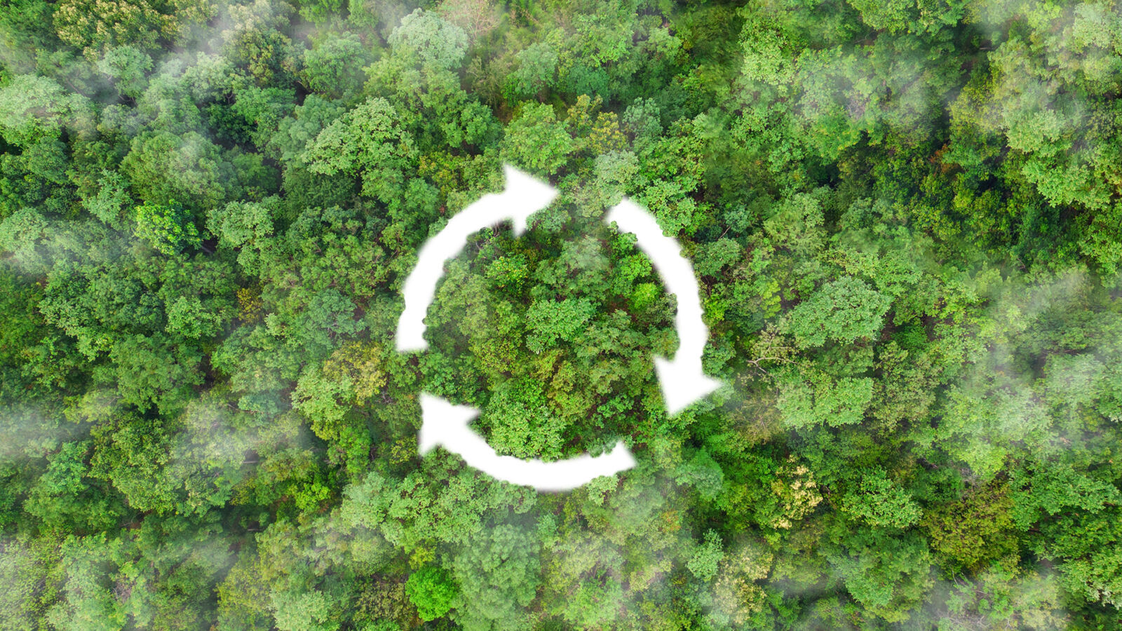 IFC Commits $150m to Scale Egypt’s Green Finance