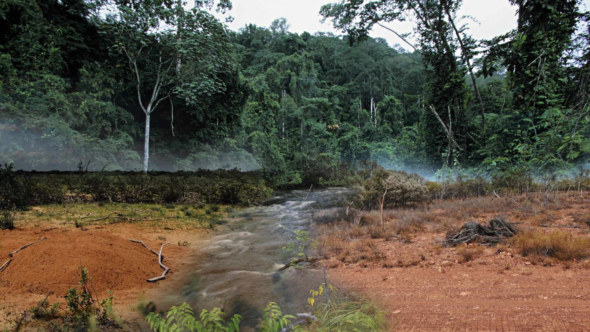 Indigenous Wisdom Spurs Africa's Carbon Market Growth, Targeting $122 Billion by 2033