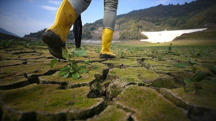 Investors Must Move Climate Action From Portfolios Into Real Economy Policy Now