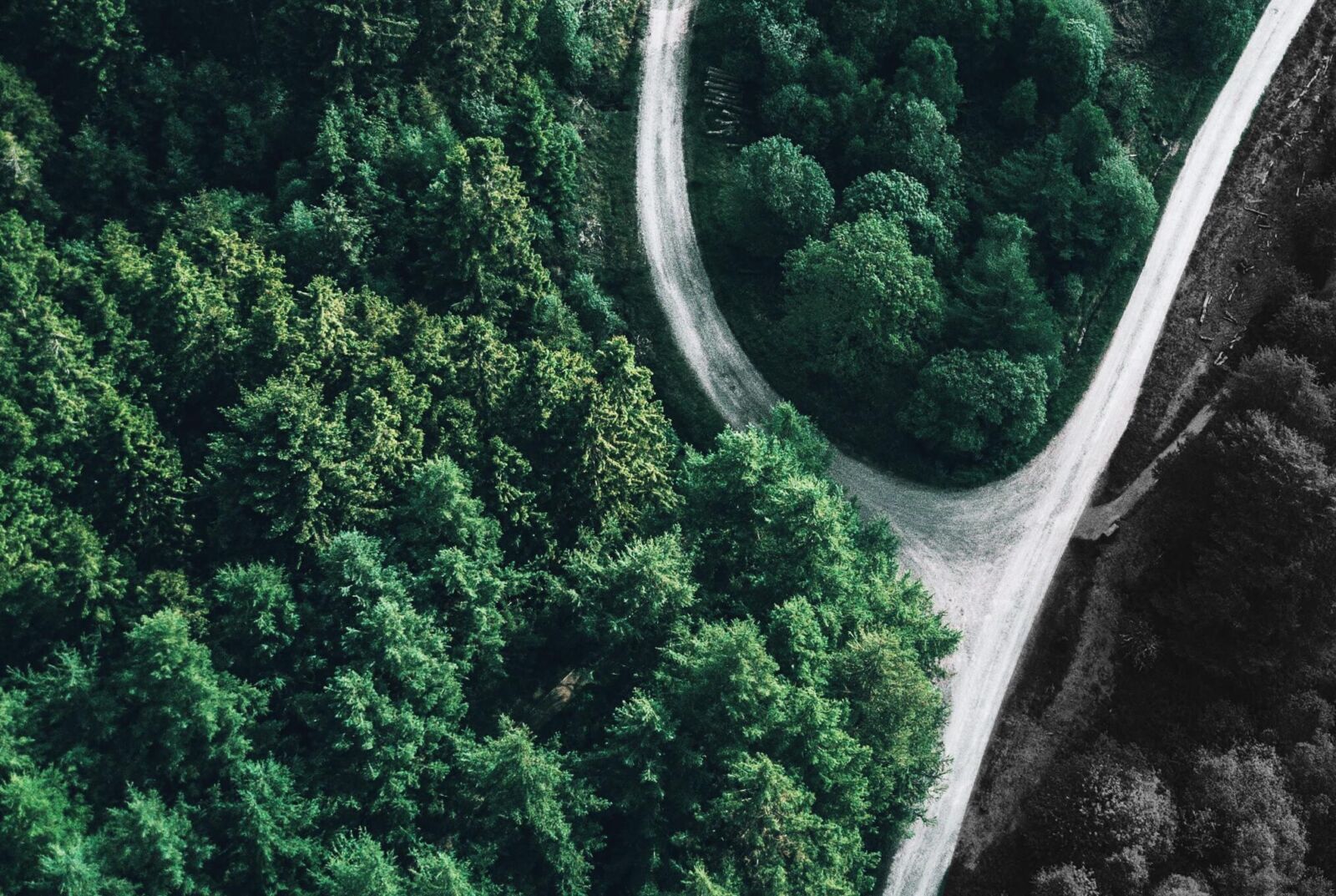 Green finance mobilisation now depends on making the transition genuinely investable