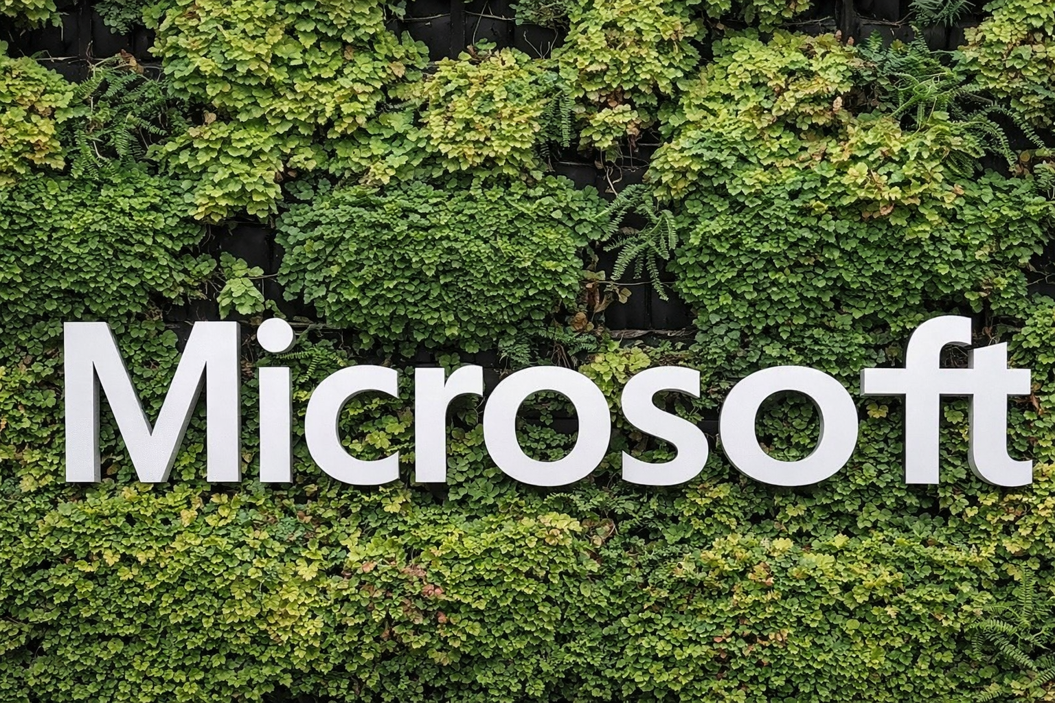 Microsoft’s 1.8 Million-Ton Bet on African Rainforest Carbon Markets