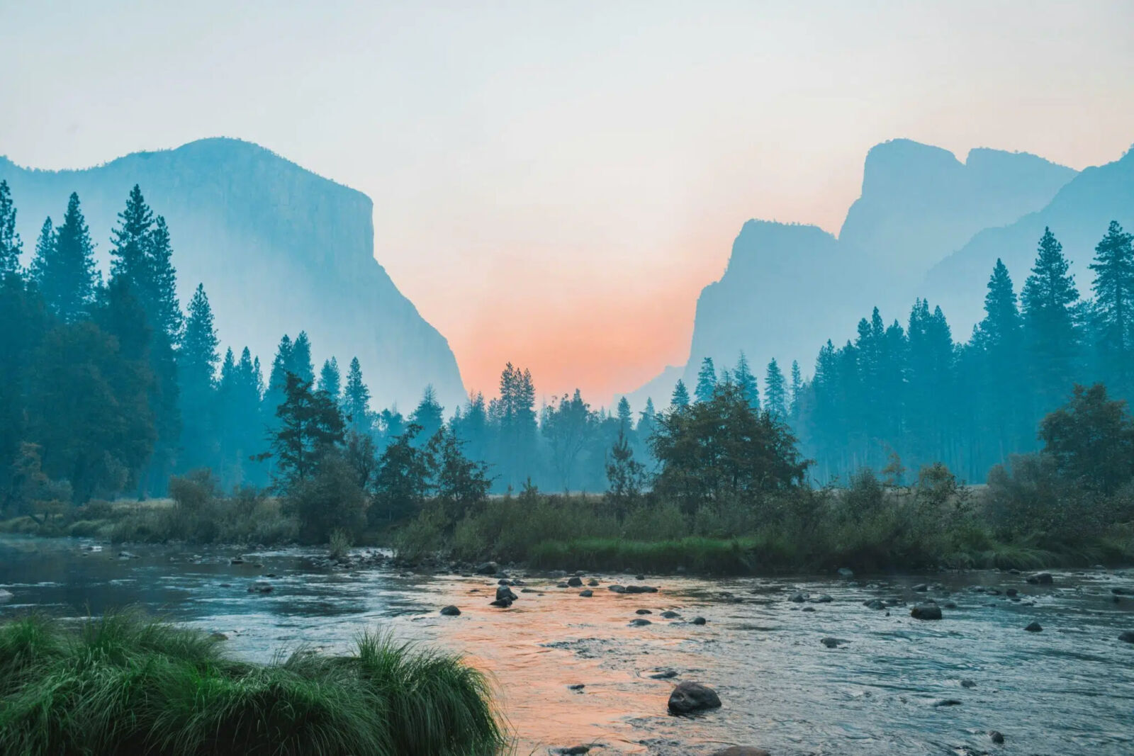 New Nature Metrics Pilot Shows Investors How to Measure Biodiversity Risk