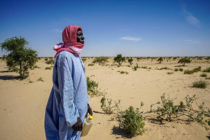 Niger links oasis protection with local value chains for stronger climate resilience